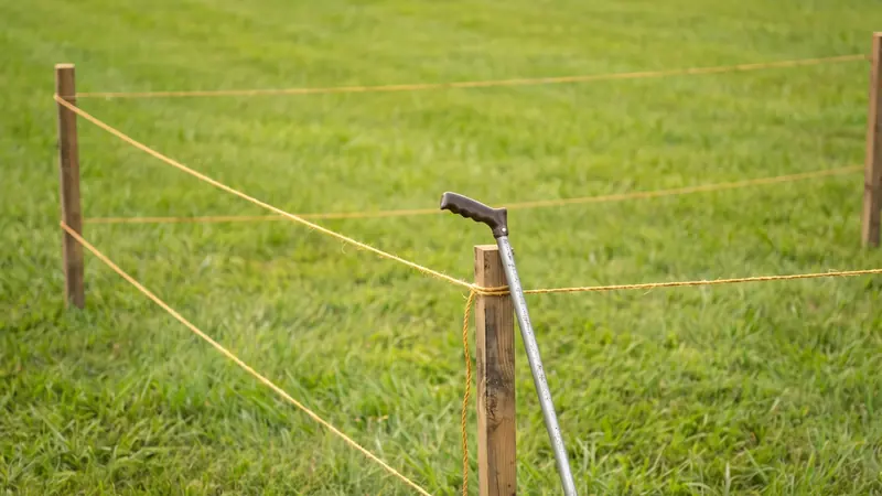 Acreage calculator: field staked out with string lines to measure acres