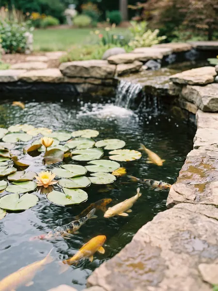 Garden pond Pond volume calculator: garden pond with water lilies and a waterfall